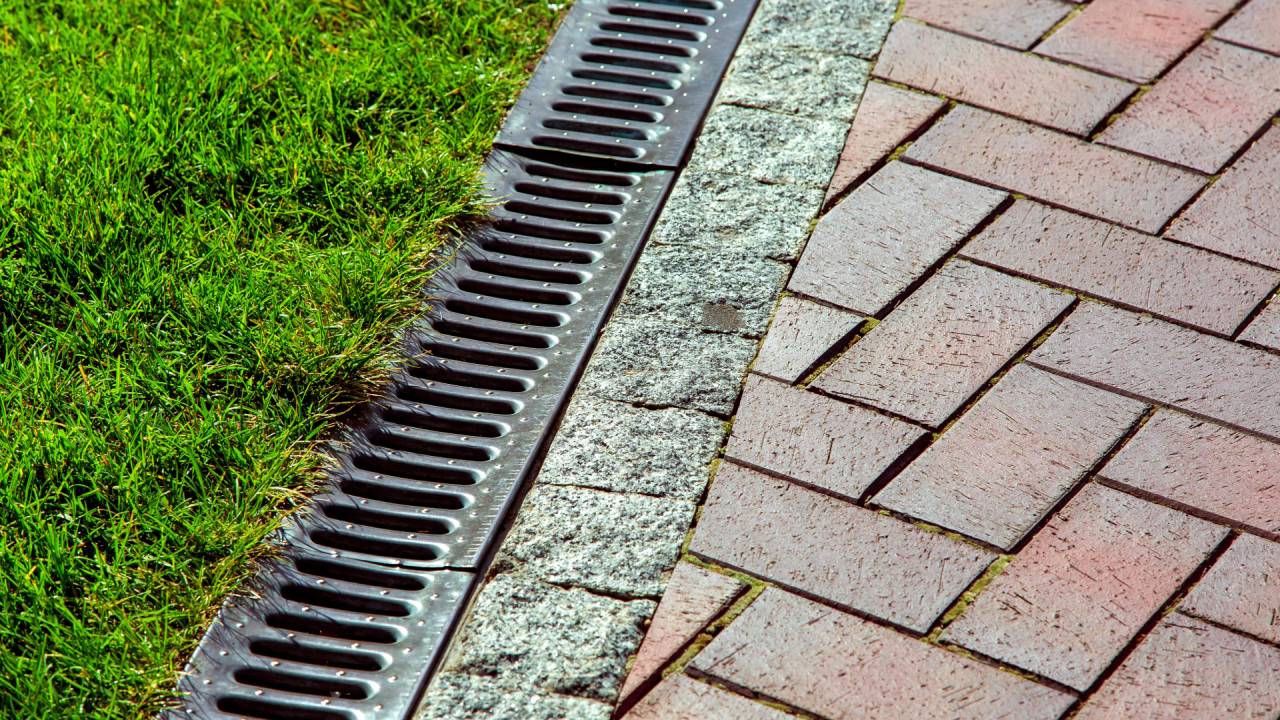 outdoor drain cleaning service, plumber near me, Wild Water Plumbing, Jacksonville NC plumbing, reliable drain cleaning, professional plumbing services