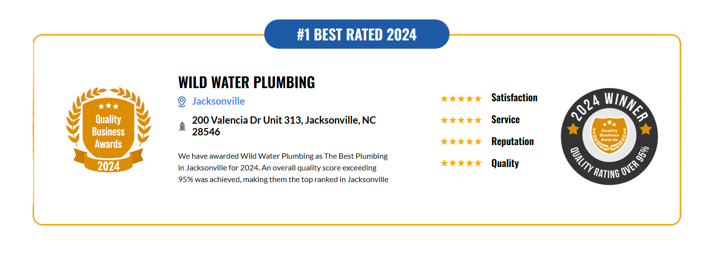 Wild Water Plumbing, Justin Wilder, Best Plumbing, Jacksonville, Quality Business Awards, 2024, gratitude, customer appreciation, top-ranked, plumbing services, excellence, outstanding results, thank you, trust, feedback, community service, dedication, hard work, team effort, plumbing excellence, customer satisfaction, recognition, award-winning, commitment, plumbing industry, quality score