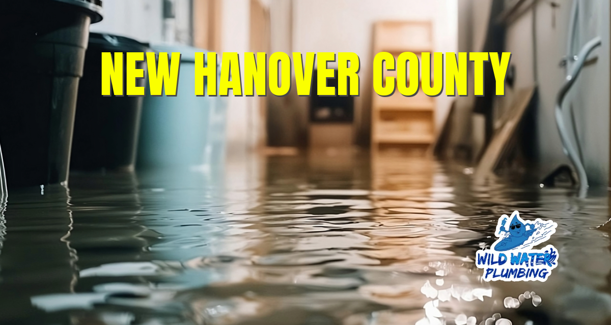 Sewer Line and Drain Problems in New Hanover County Homes