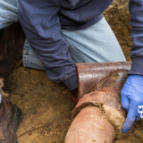 Richlands NC sewer line backup, emergency plumbing Richlands NC, 24 hour plumber Richlands NC, clogged sewer Richlands NC, sewage backup repair Richlands NC, veteran plumber Richlands NC, emergency drain cleaning Richlands NC, burst pipe Richlands NC, toilet overflowing Richlands NC, plumbing disaster Richlands NC