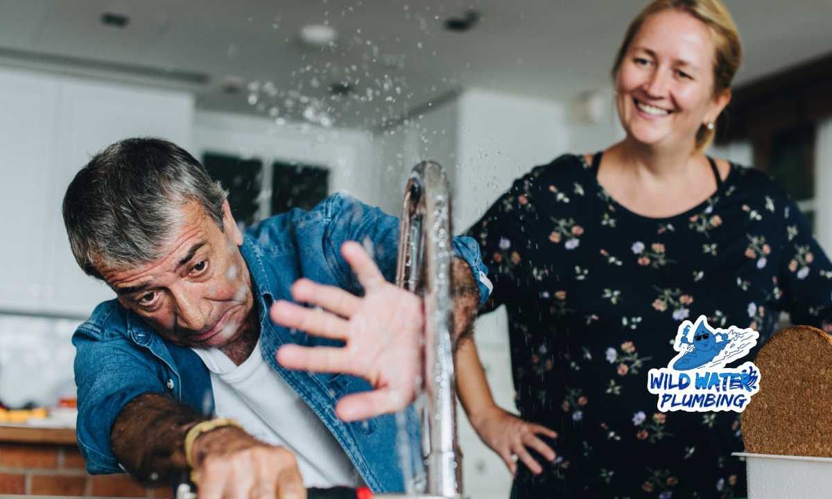 NORTH CAROLINA PLUMBING CODE 2018 visual data 3