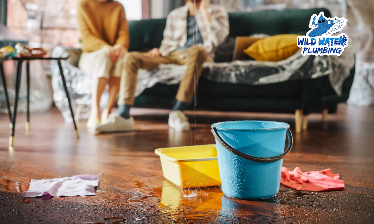 plumber near Maysville NC, emergency plumber Maysville NC, plumbing leaks Maysville NC, burst pipe repair Maysville NC, water heater repair Maysville NC, crawlspace plumbing Maysville NC, standing water leak Maysville NC, leak detection Maysville NC, 24/7 plumber Maysville NC, plumbing repair Maysville NC, affordable plumber Maysville NC, water damage plumber Maysville NC, failing water heater Maysville NC, local plumber Maysville NC, plumbing emergency Maysville NC