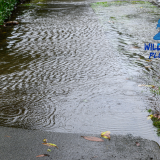 stormwater drain backup Holly Ridge NC, sewer backup Holly Ridge NC, plumber near Holly Ridge NC, Wild Water Plumbing Holly Ridge NC, heavy rain plumbing problems Holly Ridge NC, emergency plumber Holly Ridge NC, basement drain backup Holly Ridge NC, sewer inspection Holly Ridge NC, best veteran plumbing Holly Ridge NC, gurgling drains Holly Ridge NC, stormwater flooding Holly Ridge NC, hydro jetting Holly Ridge NC, backwater valve Holly Ridge NC, plumbing emergency Holly Ridge NC, clogged sewer line Holly Ridge NC