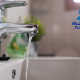 well water problems Maple Hill NC, iron water stains Maple Hill NC, plumber near Maple Hill NC, Wild Water Plumbing Maple Hill NC, low water pressure Maple Hill NC, sediment in well water Maple Hill NC, well water repair Maple Hill NC, emergency plumber Maple Hill NC, best veteran plumbing Maple Hill NC, well pump repair Maple Hill NC, Maple Hill water filtration, clogged well filter Maple Hill NC, orange stains well water Maple Hill NC, well water iron filter Maple Hill NC, whole house water filter Maple Hill NC