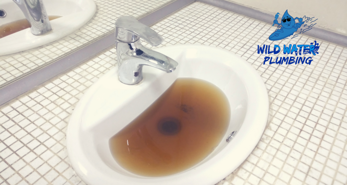 Richlands, NC: Rural Sewer Line Clogs – How Tree Roots and Aging Pipes Trigger Costly Backups