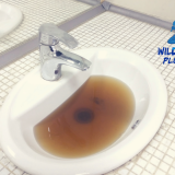 sewer line clogs Richlands NC, sewer backup Richlands NC, plumber near Richlands NC, Wild Water Plumbing Richlands NC, emergency plumber Richlands NC, tree root sewer clog Richlands NC, septic to sewer transition Richlands NC, sewer inspection Richlands NC, clogged sewer pipe Richlands NC, best veteran plumbing Richlands NC, hydro jetting Richlands NC, sewer repair Richlands NC, recurring sewer clogs Richlands NC, sewer camera inspection Richlands NC, drain cleaning Richlands NC