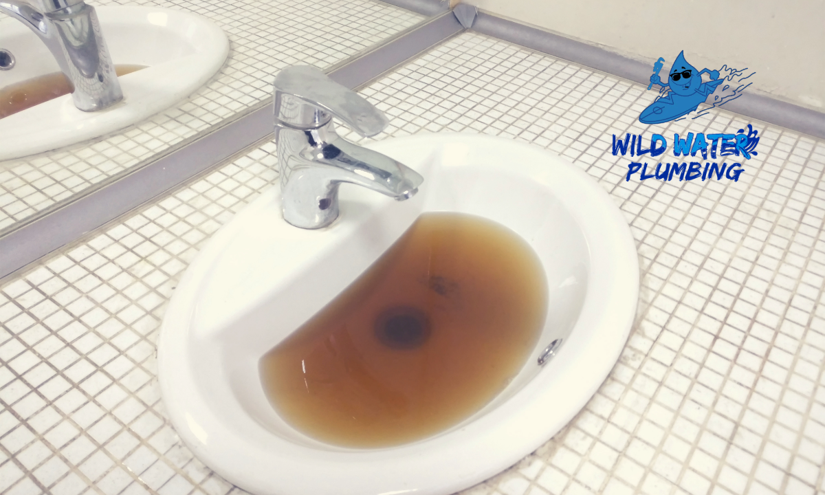 sewer line clogs Richlands NC, sewer backup Richlands NC, plumber near Richlands NC, Wild Water Plumbing Richlands NC, emergency plumber Richlands NC, tree root sewer clog Richlands NC, septic to sewer transition Richlands NC, sewer inspection Richlands NC, clogged sewer pipe Richlands NC, best veteran plumbing Richlands NC, hydro jetting Richlands NC, sewer repair Richlands NC, recurring sewer clogs Richlands NC, sewer camera inspection Richlands NC, drain cleaning Richlands NC