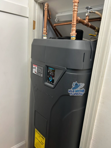 55 gal. Tall 4.5kW 2-Element On-Demand Electric Water Heater (2) hot water heater repair Jacksonville NC, Essency water heater installer Jacksonville NC, tank water heater upgrade Jacksonville NC
