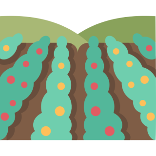 drain field repair Jacksonville NC, EZflow drainfield replacement, saturated leach field fix, septic field rehabilitation NC, standing water septic