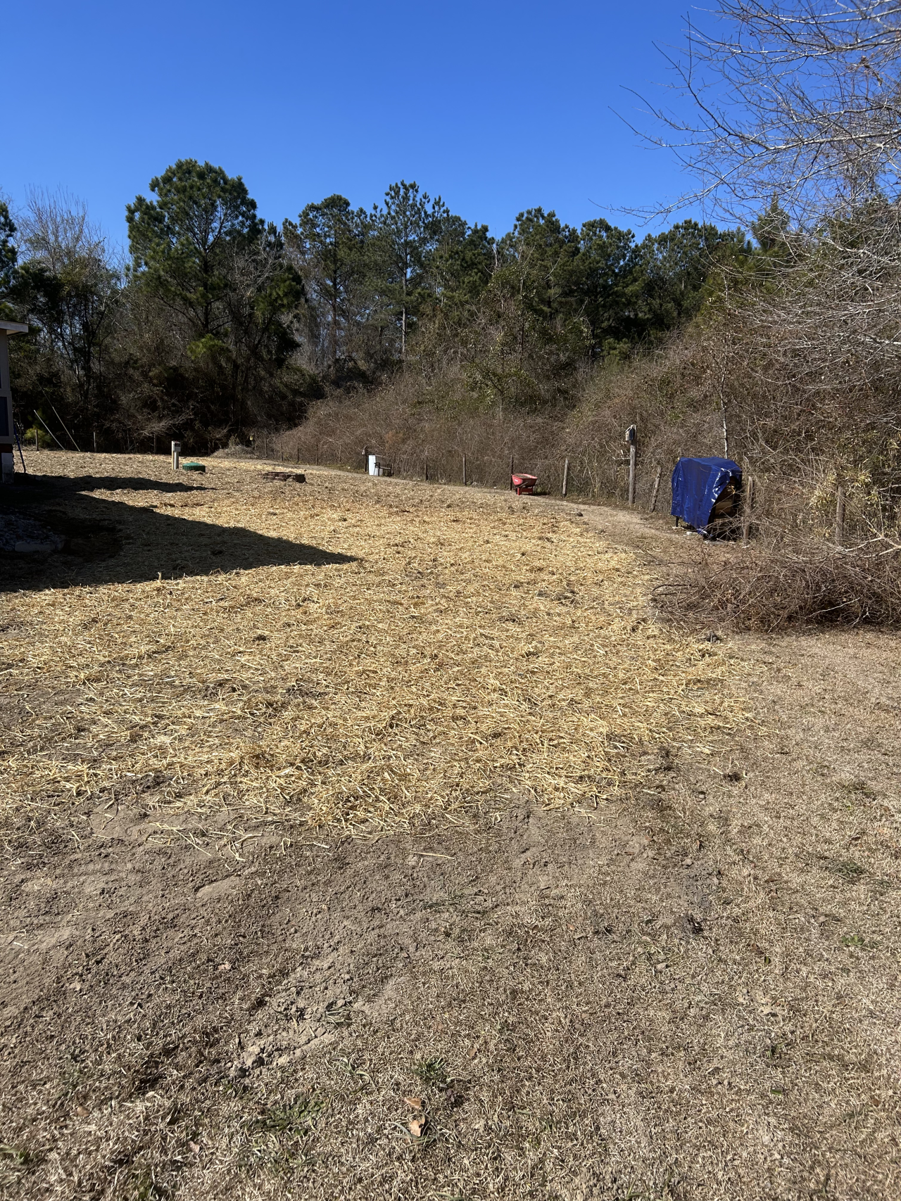 septic system installation (11)